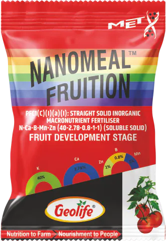 Nanomeal Fruition pack