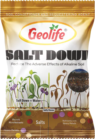 Salt Down pack