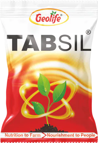 Tabsil pack