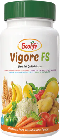 Vigore - F.S pack