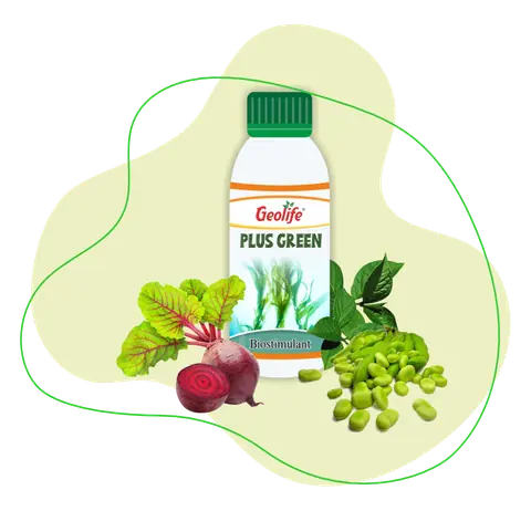 Plus Green