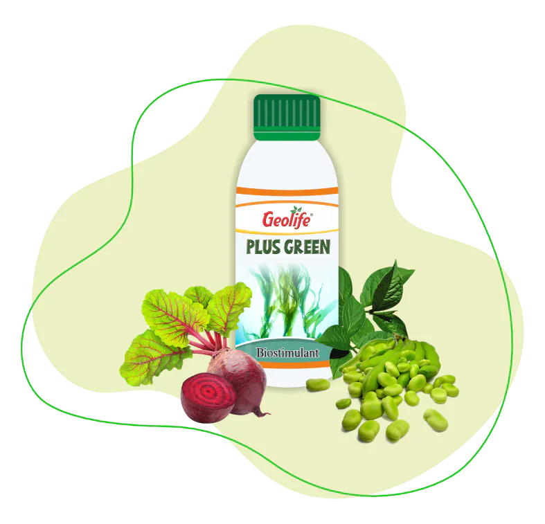 Plus Green