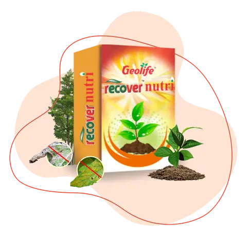 Recover Nutri