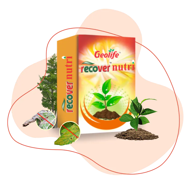 Recover Nutri