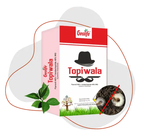 Topiwala