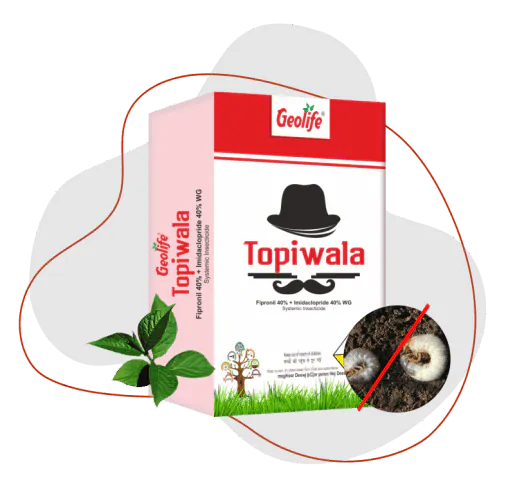 Topiwala