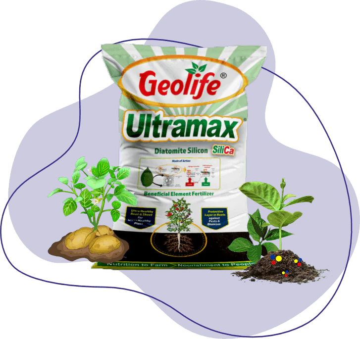Ultramax