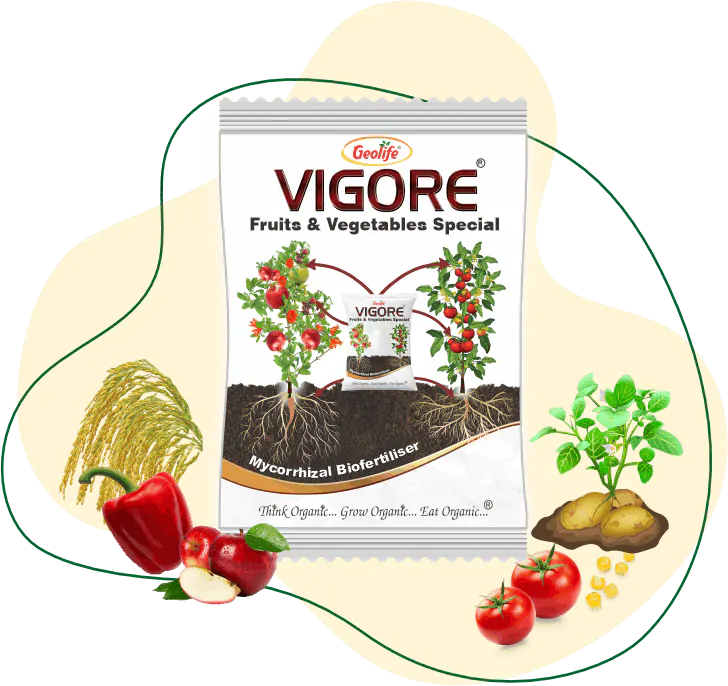 Vigore-Fruits and Vegetables Special