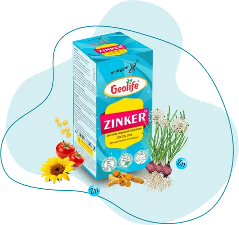 Zinker