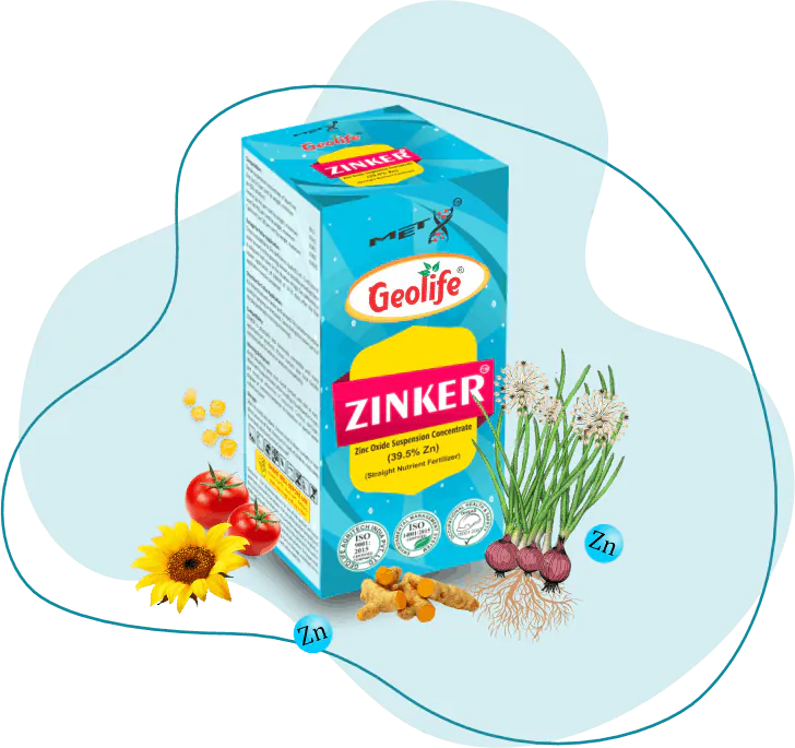 Zinker
