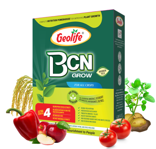BCN Grow