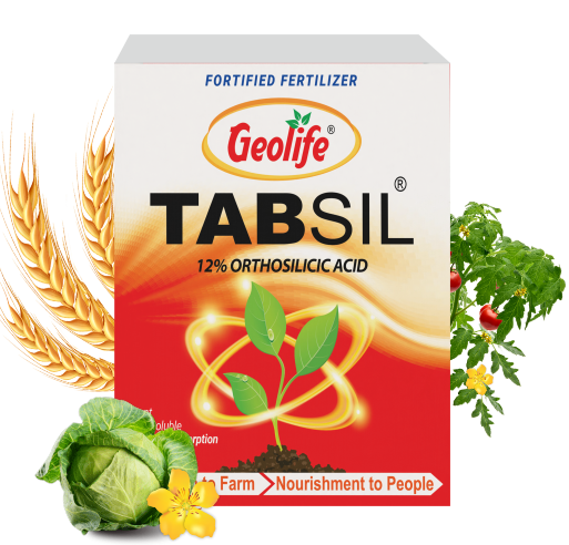 Tabsil