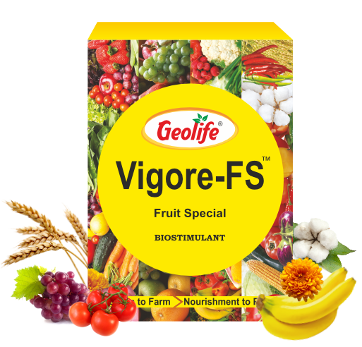 Vigore Fruit Special