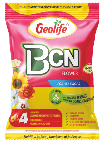 BCN Flower