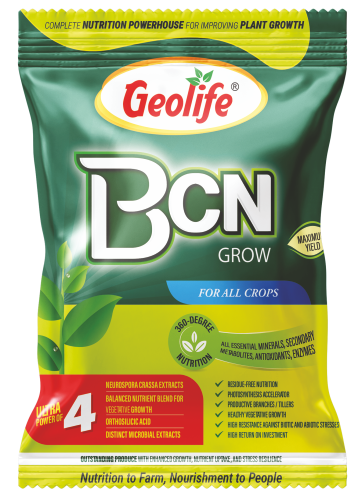 BCN Grow