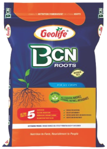 BCN Root
