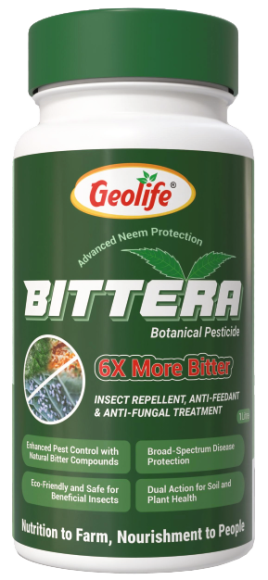 Bittera
