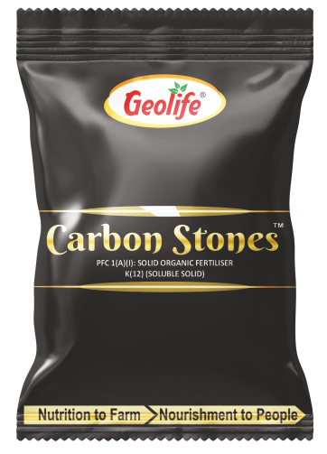 Carbon Stones