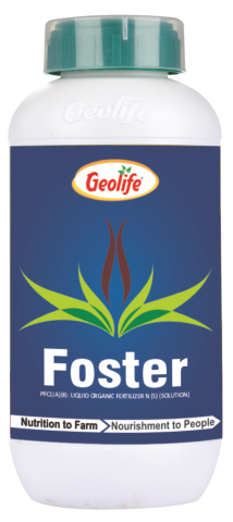 Foster