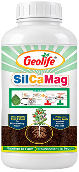 Silcamag