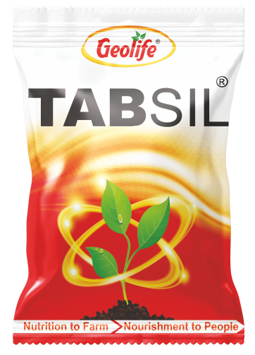 Tabsil