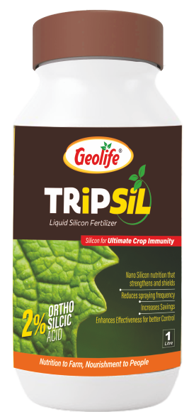 Tripsil