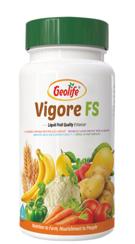 Vigore Fruit Special
