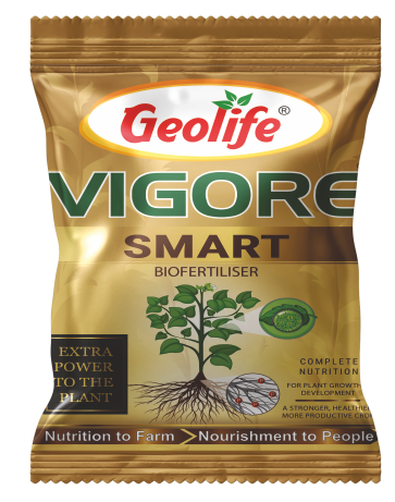 Vigore Smart